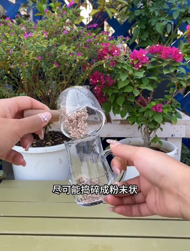 吃剩的鸡蛋壳,洗干净碾碎成粉末,用来养花效果好!