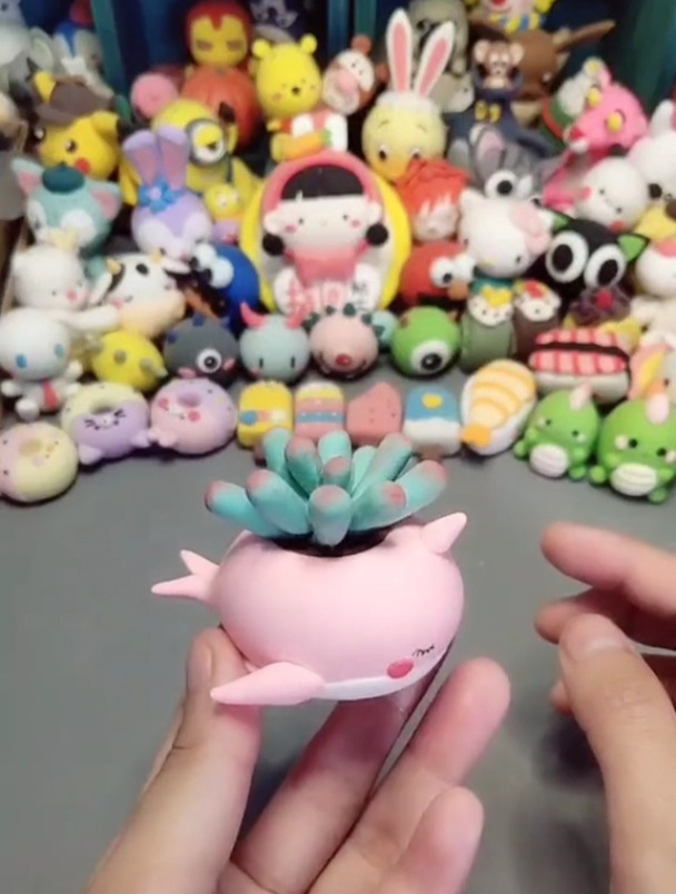 超简单的鲸鱼桌面小盆栽