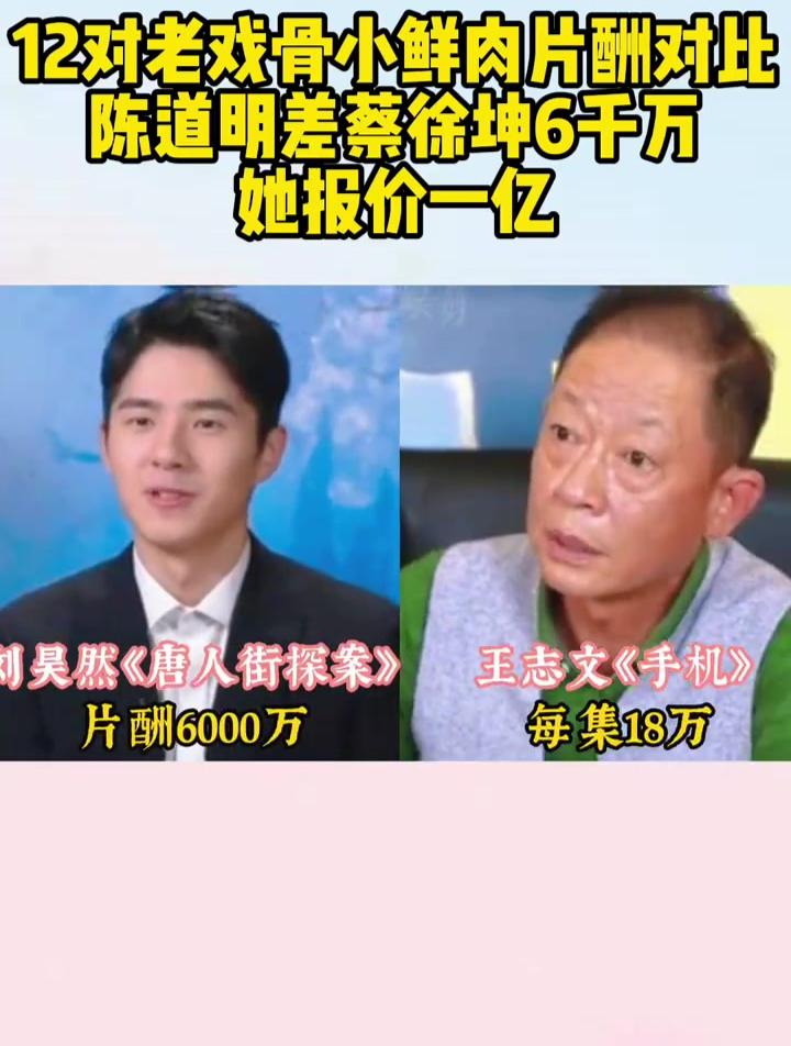 12对老戏骨小鲜肉片酬对比,陈道明差蔡徐坤6千万,她报价一亿?