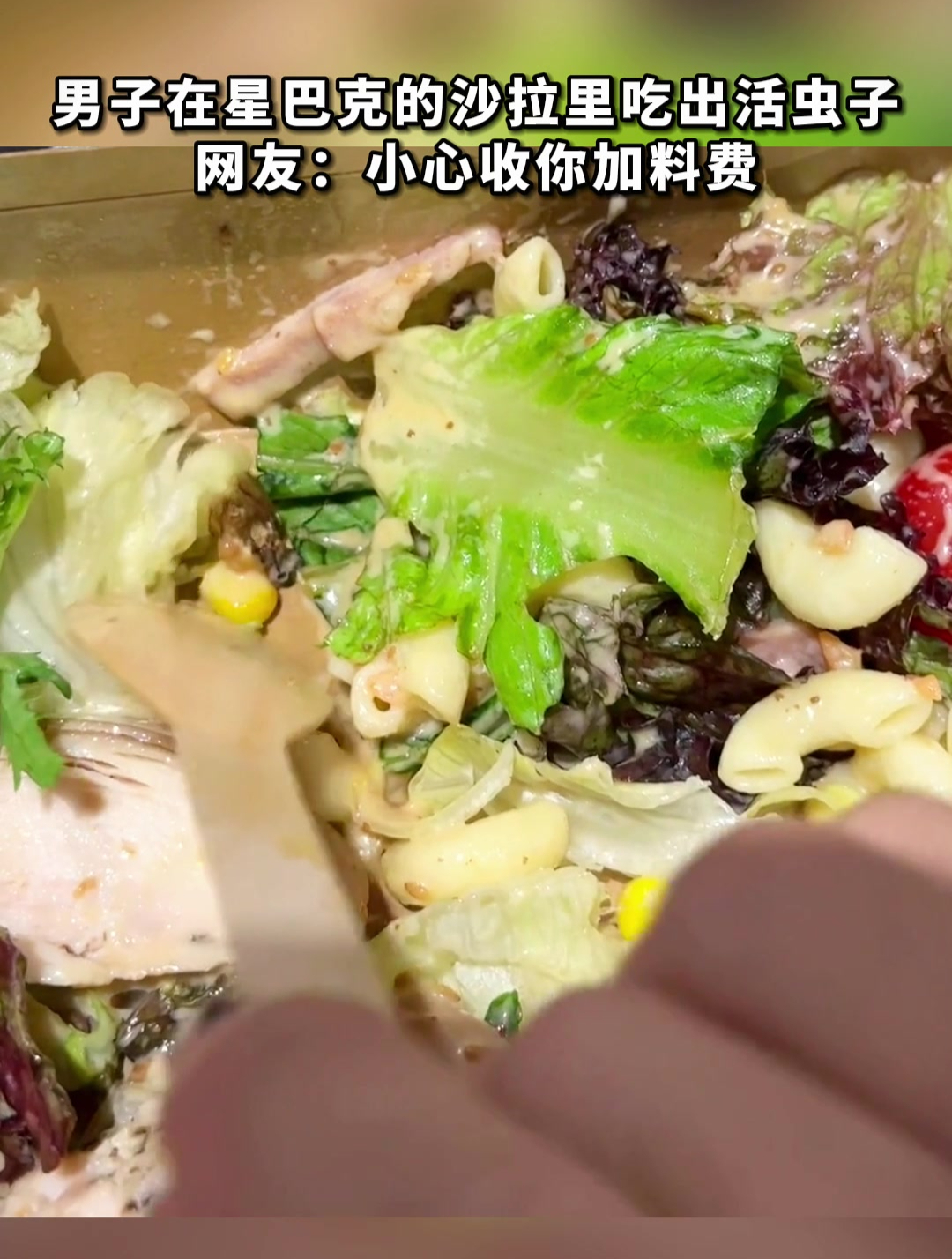 男子在星巴克的沙拉里吃出活虫子,网友:小心收你加料费!
