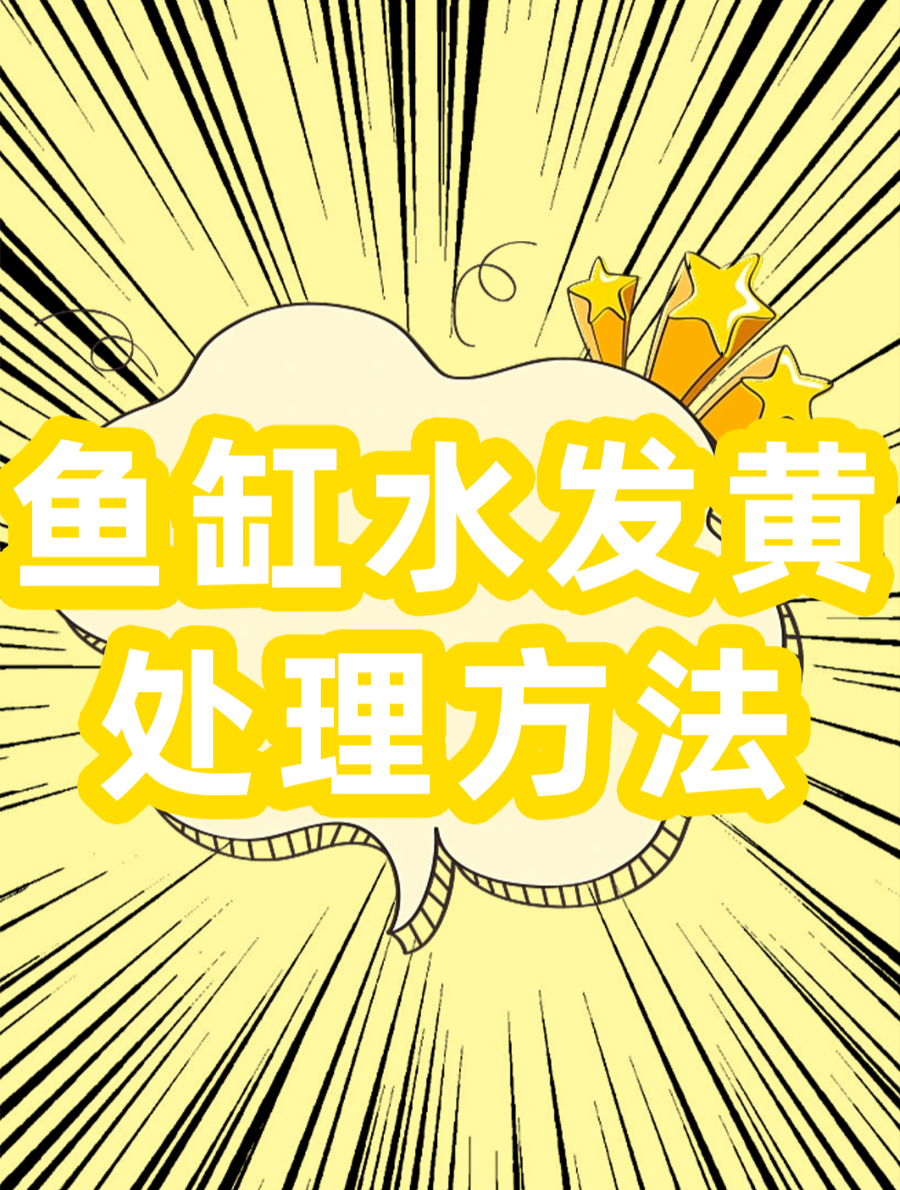 挥别黄水困扰,轻松解决鱼缸水发黄问题!