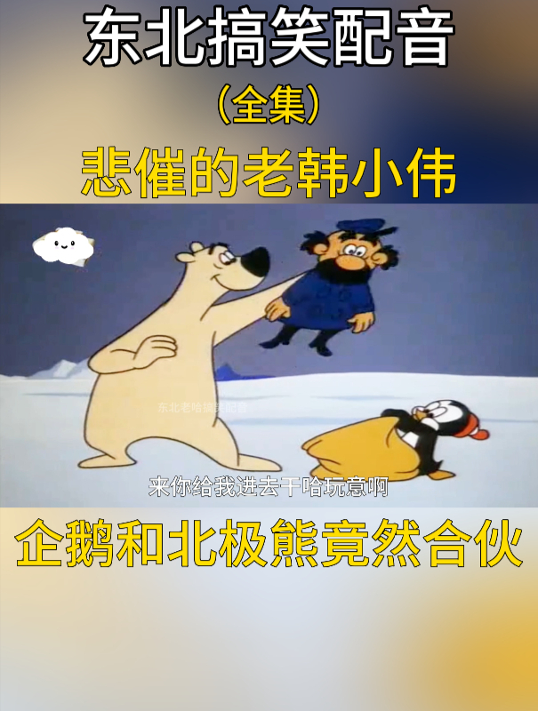 悲催的老韩小伟,企鹅和北极熊竟然合伙!