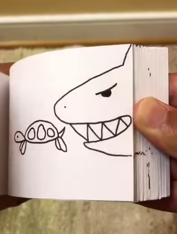 乌龟和大鲨鱼 用简笔画自制的翻页小动画