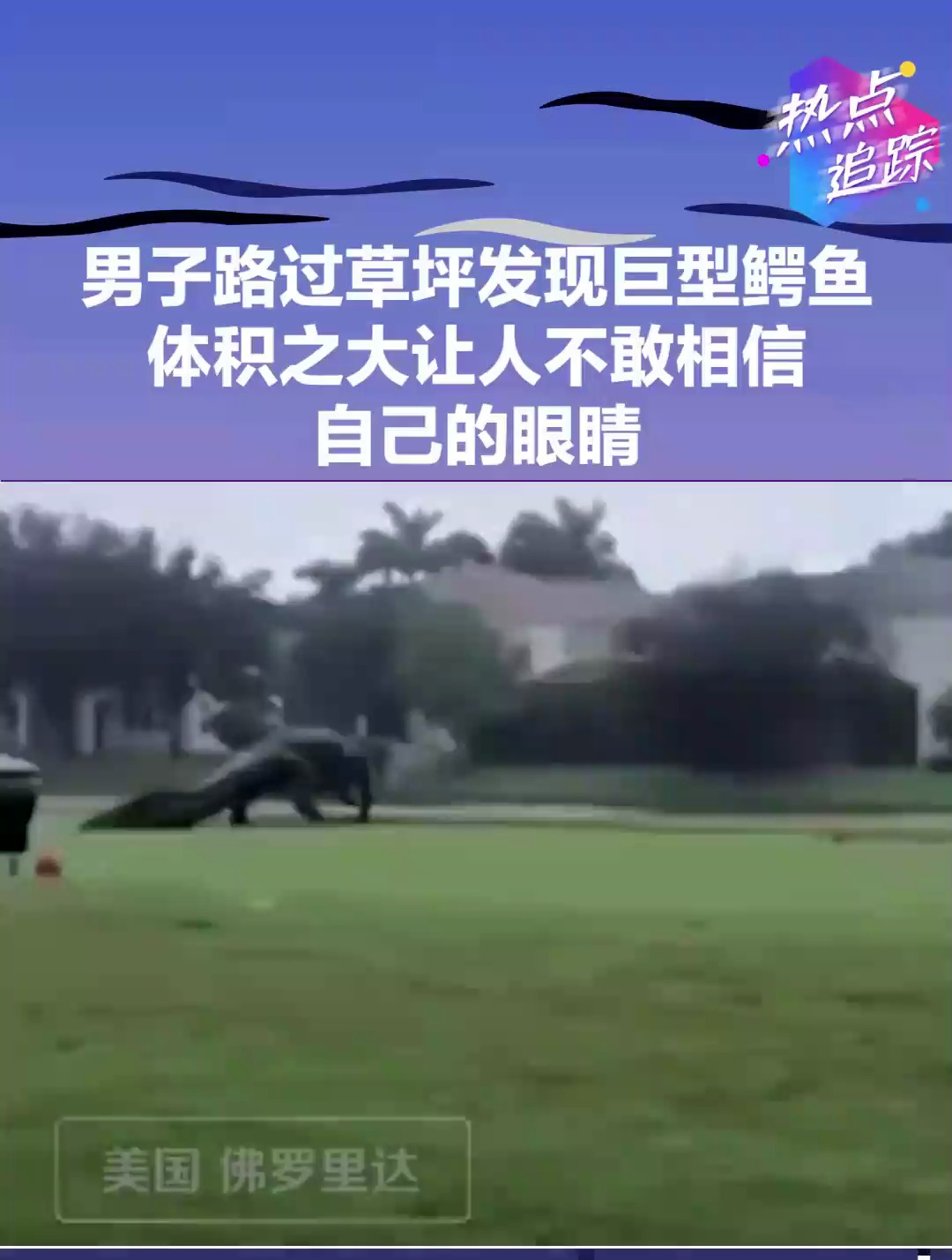 男子路过草坪发现巨型鳄鱼,体积之大让人不敢相信自己的眼睛