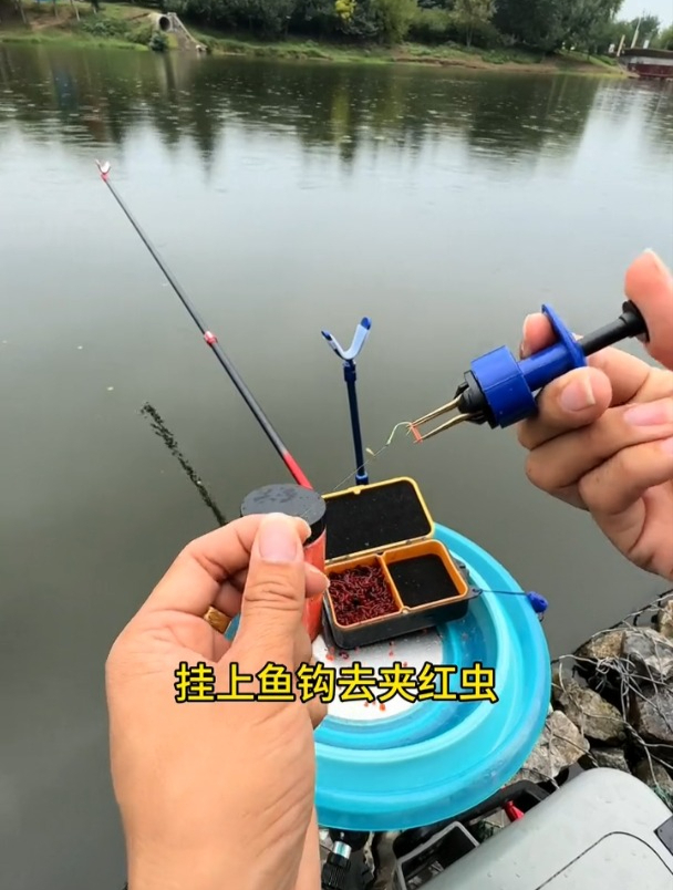 老钓友分享红虫正确挂钩方法,快捷不浪费还不脏手!
