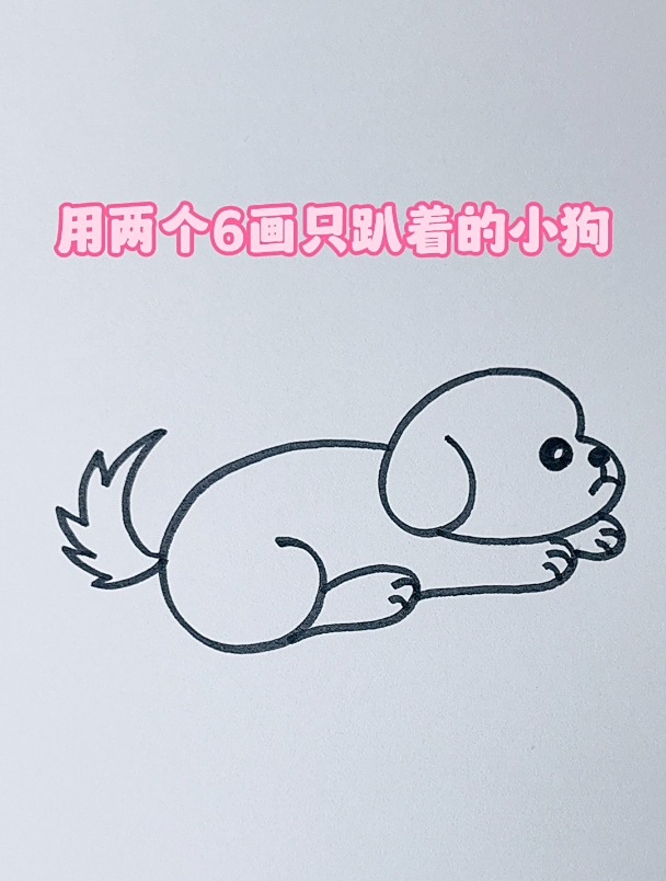看一遍就会的数字动物简笔画,教你用两个6画只趴着的小狗