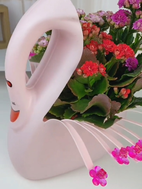 洗衣液瓶子秒变天鹅花盆!