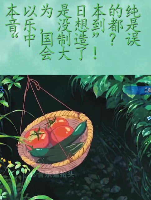 本以为是日本的纯音乐,没想到都是中国制造?误会大了!(2)