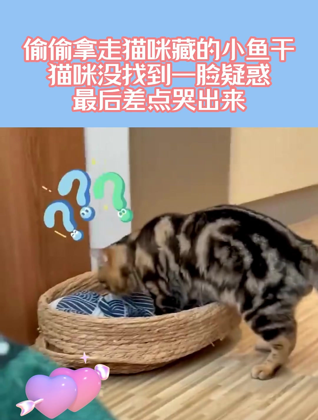 偷偷拿走猫咪藏的小鱼干,猫咪没找到一脸疑惑,最后差点哭出来