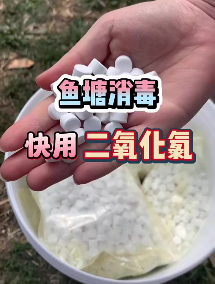 鱼塘消毒用什么好,我推荐你试试二氧化氯,消毒杀菌,分解有害菌