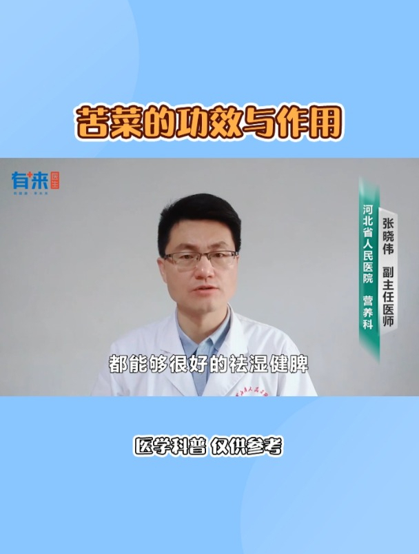 苦菜的功效与作用