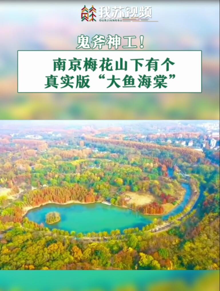 鬼斧神工!南京梅花山下有个真实版大鱼海棠