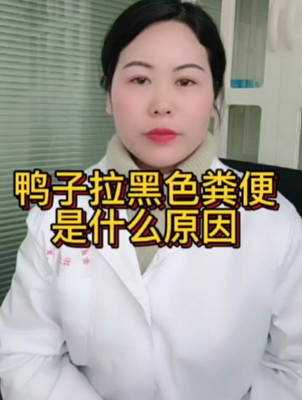 鸭子拉黑色粪便是什么原因