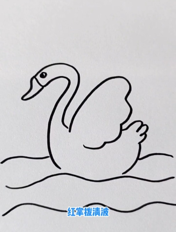 展翅的大白鹅简笔画,超级简单哦,一定要动笔试一试