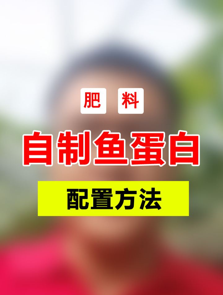 自制鱼蛋白,既简单又省钱,一亩地1次使用也就几块钱,效果就好