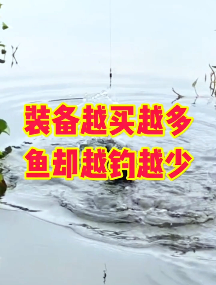 装备越买越多,鱼却越钓越少?