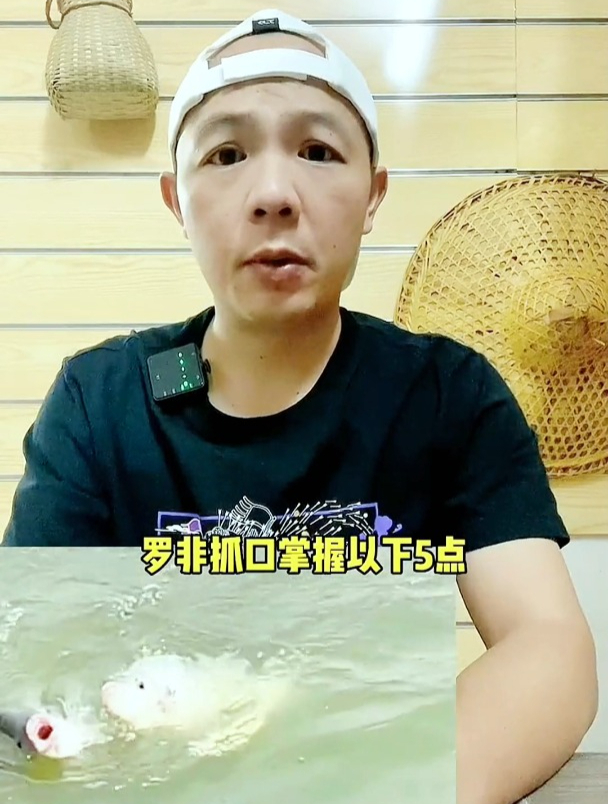 钓罗非如何抓口?很多新手钓友不会抓口,我教你正确的抓口技巧