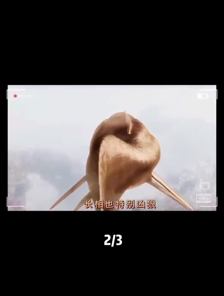 泥盆纪海洋霸主——邓氏鱼邓氏鱼动物世界