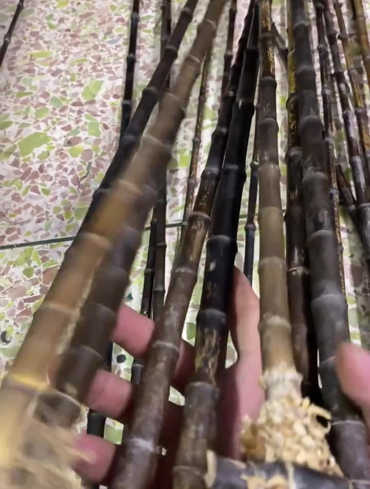 大漆工艺~纯竹子鱼竿