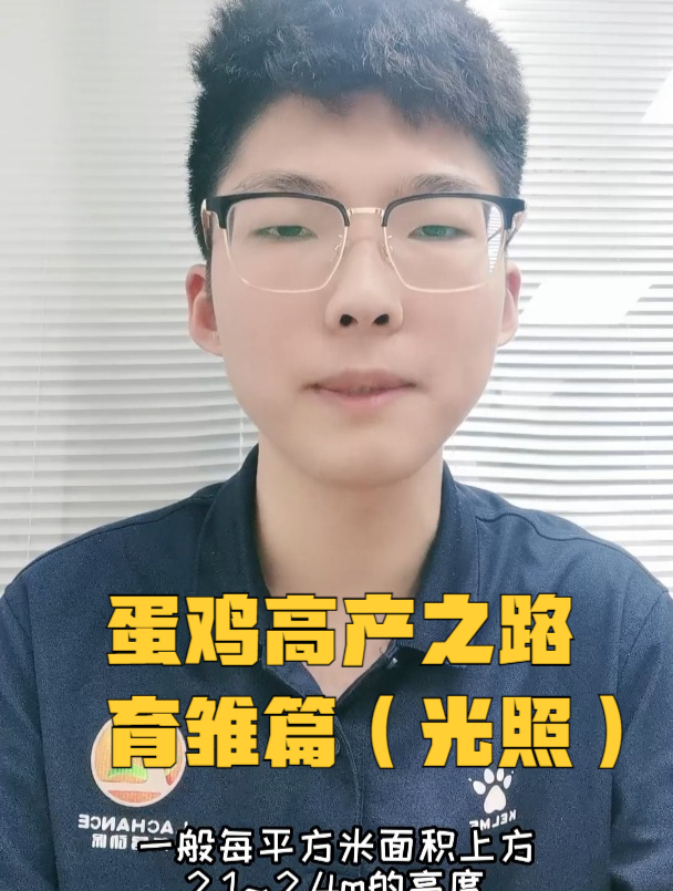 蛋鸡高产之路育雏篇(光照)