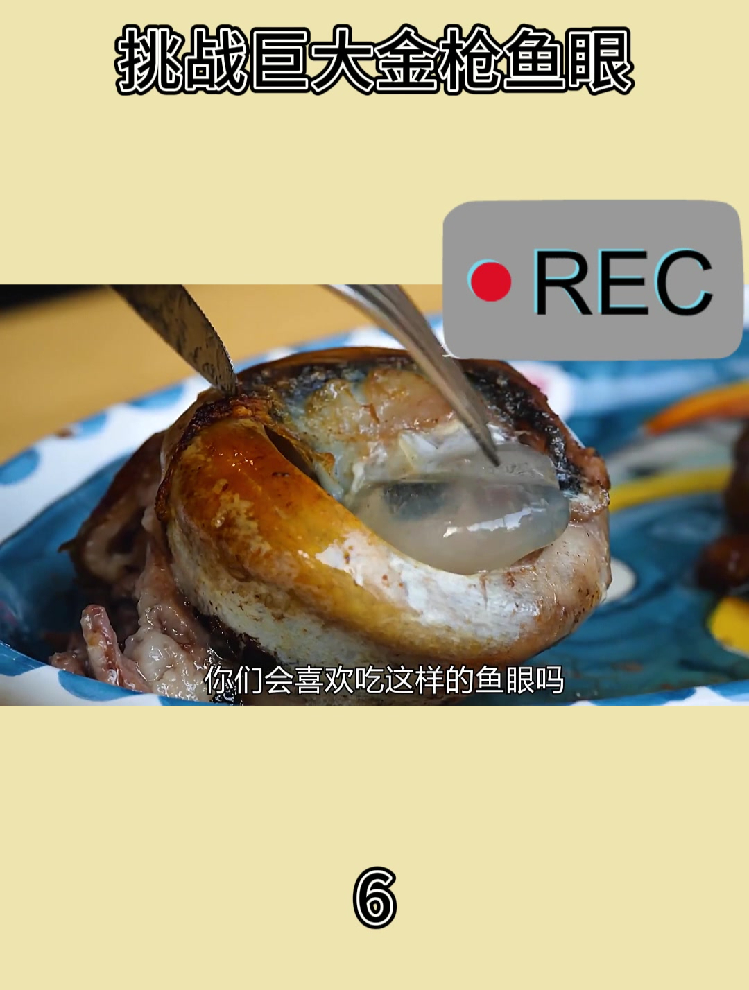 挑战巨大金枪鱼眼6