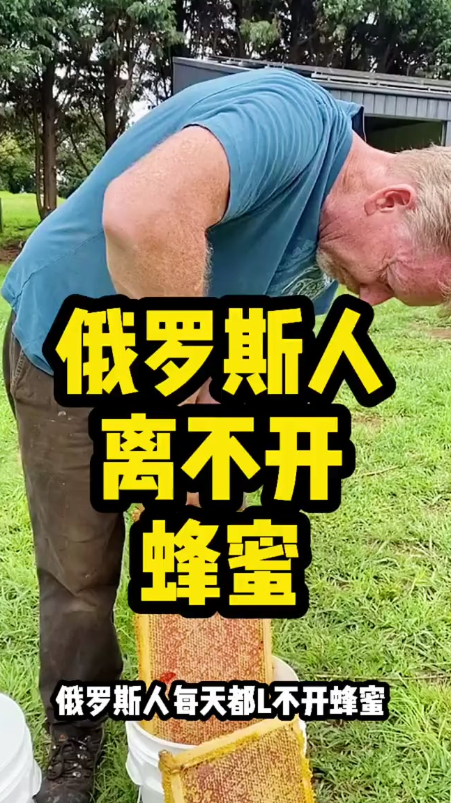 俄罗斯人离不开蜂蜜 蜂蜜 不可辜负的美食 记录海外生活