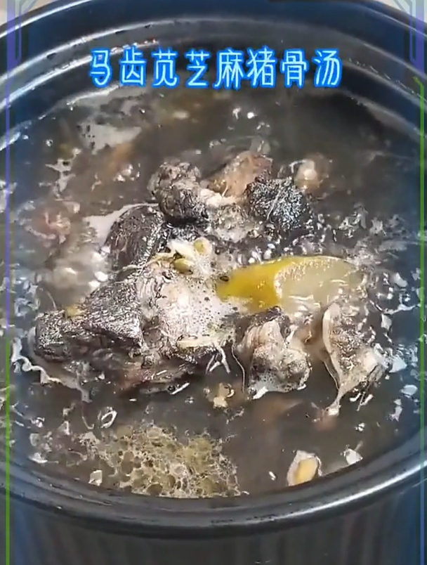 马齿苋猪骨汤春天潮湿天气经常喝