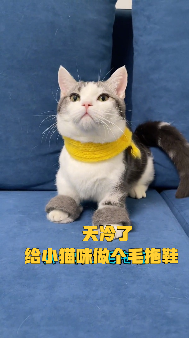 天冷了用猫毛做了小拖鞋 又问泡芙借了毛毛@王泡芙 猫毛拖鞋