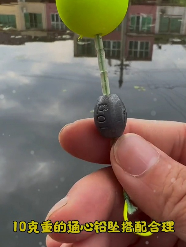 海竿浮钓草鱼,线组这样搭配,就算是夜晚也可以抓住每一口!