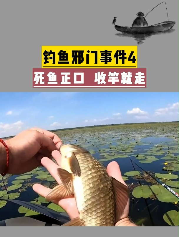 钓鱼邪门事件4死鱼正口
