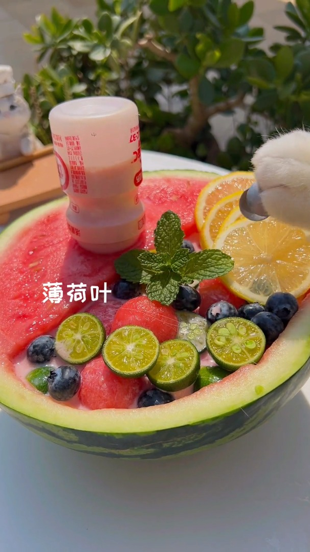 夏天少不了西瓜。跟着猫咪一起做西瓜快乐水,宅家也可以野餐!