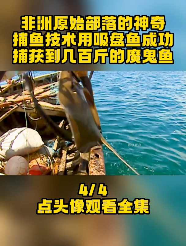 非洲原始部落的神奇捕鱼技术,用吸盘鱼成功捕获到几百斤的魔鬼鱼