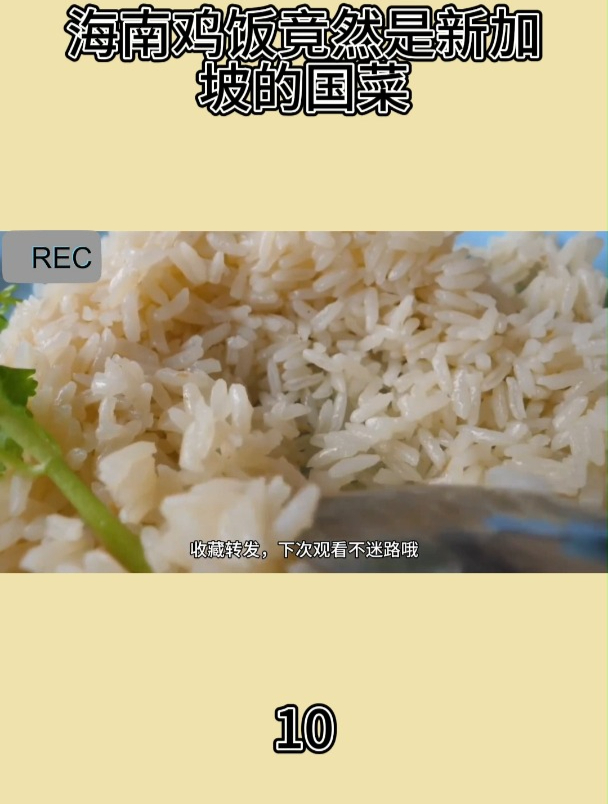 海南鸡饭竟然是新加坡的国菜10