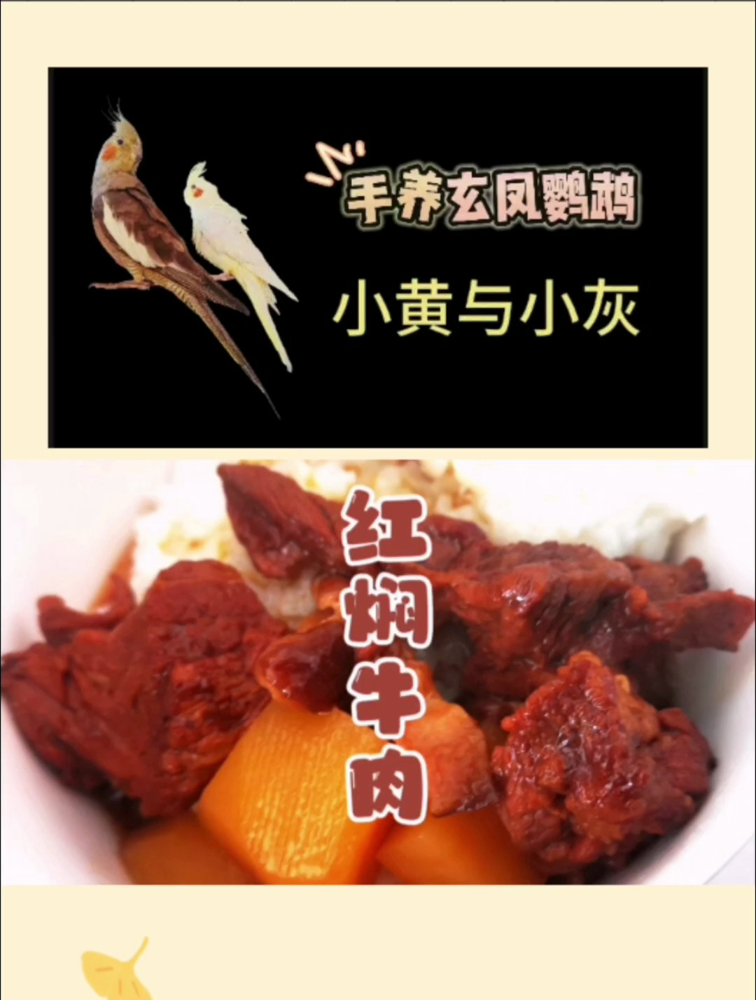家常红焖牛肉,这样做,全家人都爱吃
