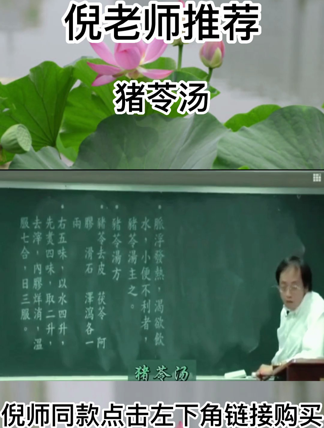 倪教授:喝猪苓汤有清热养阴、利尿、缓解伤寒的作用