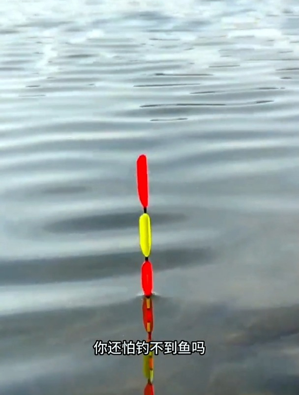 如何选择浮漂的吃铅量?很多钓友忽略这点,难怪漂相不准确