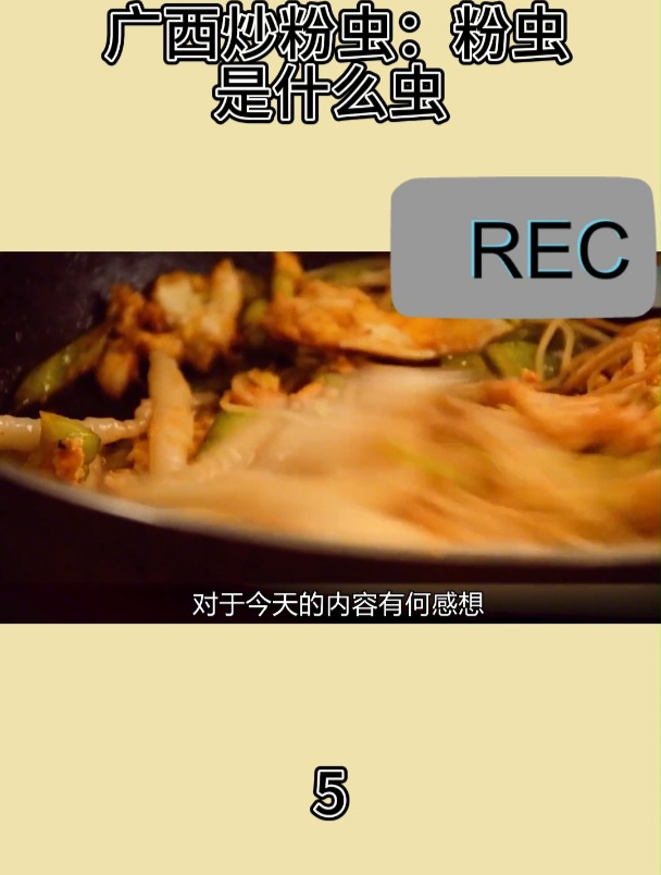 广西炒粉虫:粉虫是什么虫5