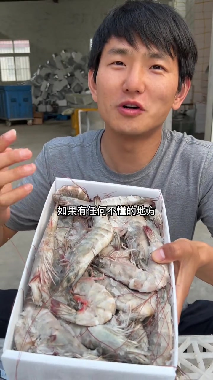 新鲜大虾鲜活超大基围虾青岛海虾特大青虾速冻海鲜水产冷冻鲜虾类