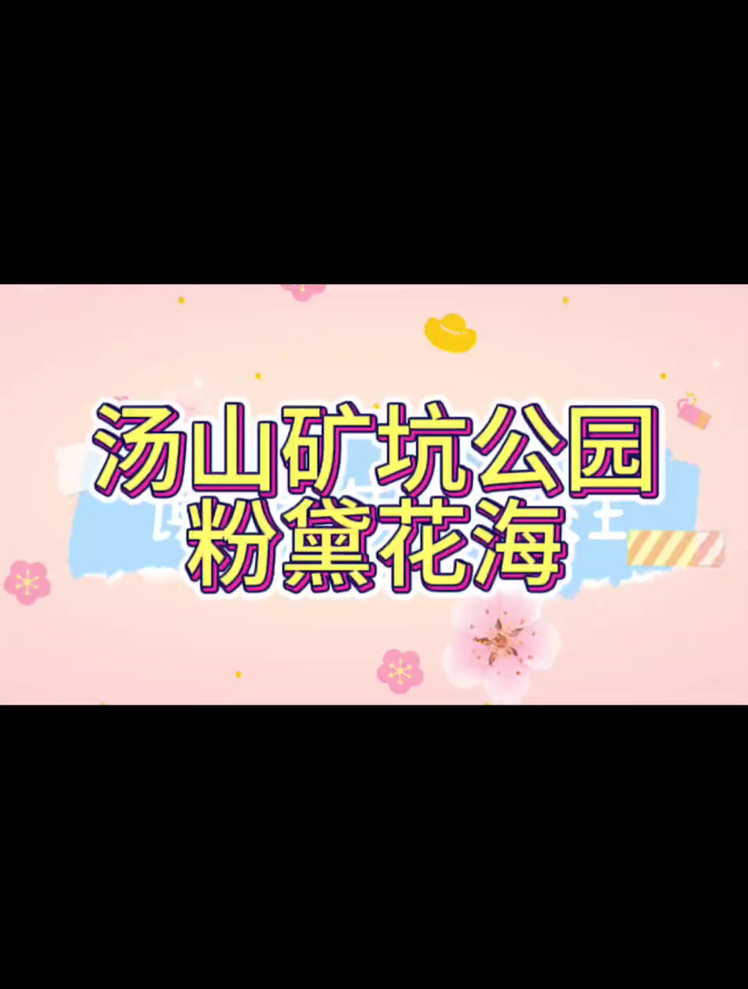 汤山矿坑公园粉黛花海