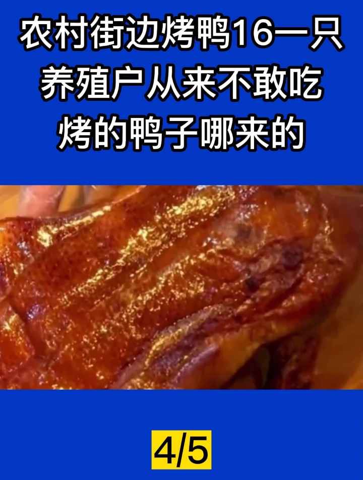 农村街边烤鸭16一只,养殖户从来不敢吃,烤的鸭子哪来的?4