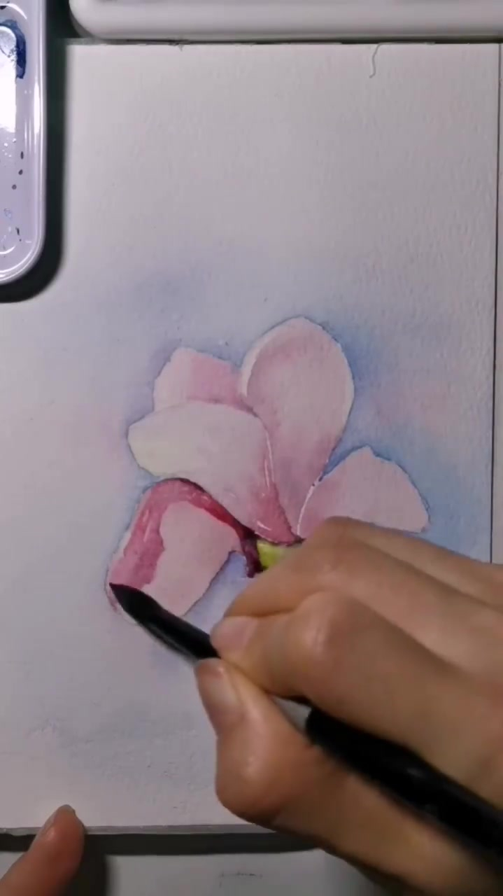 水彩教程视频,春日里粉色玉兰花