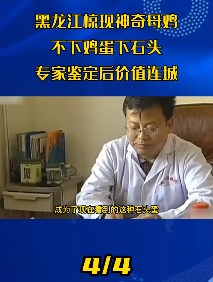 黑龙江惊现神奇母鸡,不下鸡蛋下石头,专家鉴定后价值连城