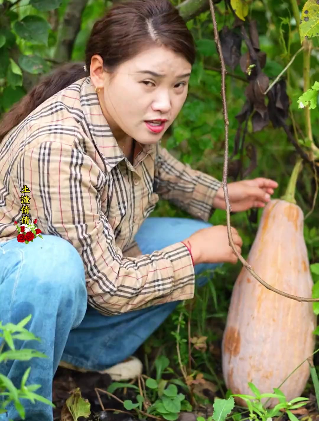 老王婆婆和老董公公平时都是闲不住,种的哪里都是菜