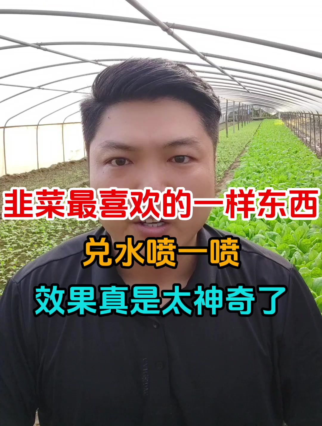 韭菜最喜欢的一样东西,兑水喷一喷,效果真是太神奇了