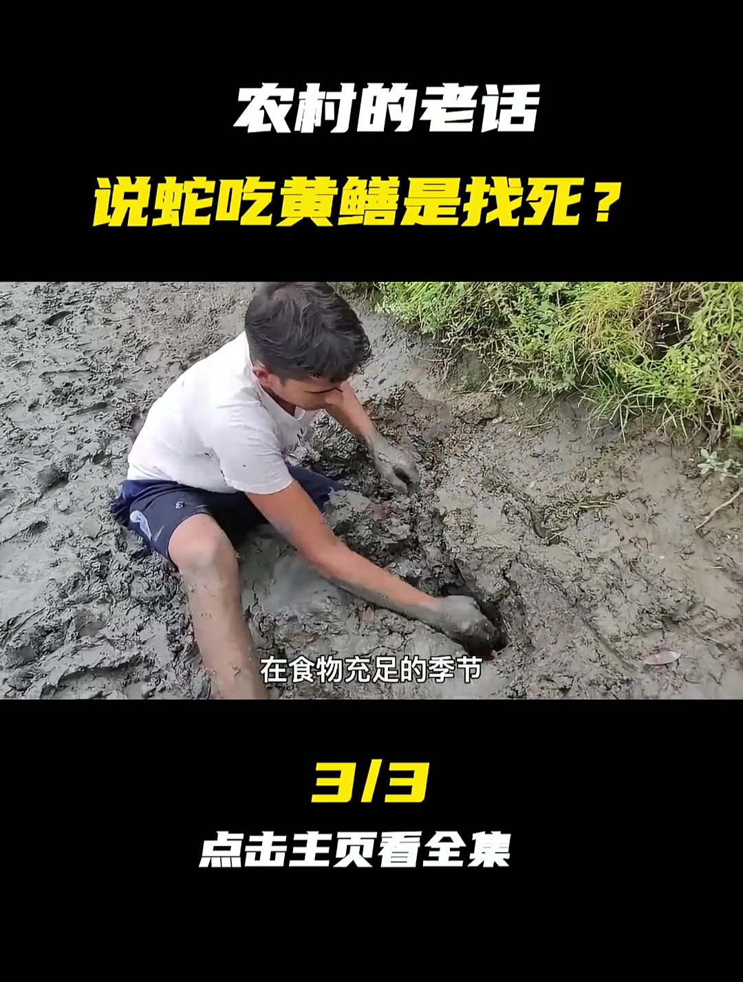 为何说“蛇吃黄鳝是找死”,蛇真的不能吃黄鳝吗?