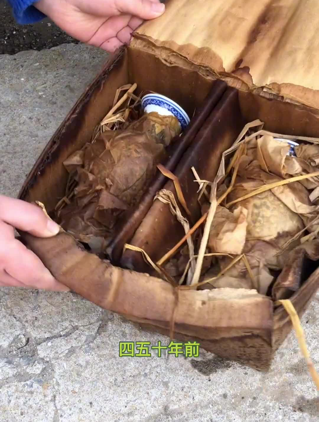 这样的鱼尾瓶摆放在家里哪个位置合适呢