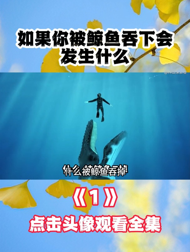 如果你被鲸鱼吞下会发生什么