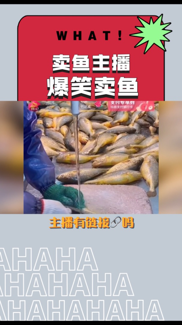 卖鱼主播王雷直播间笑死个人