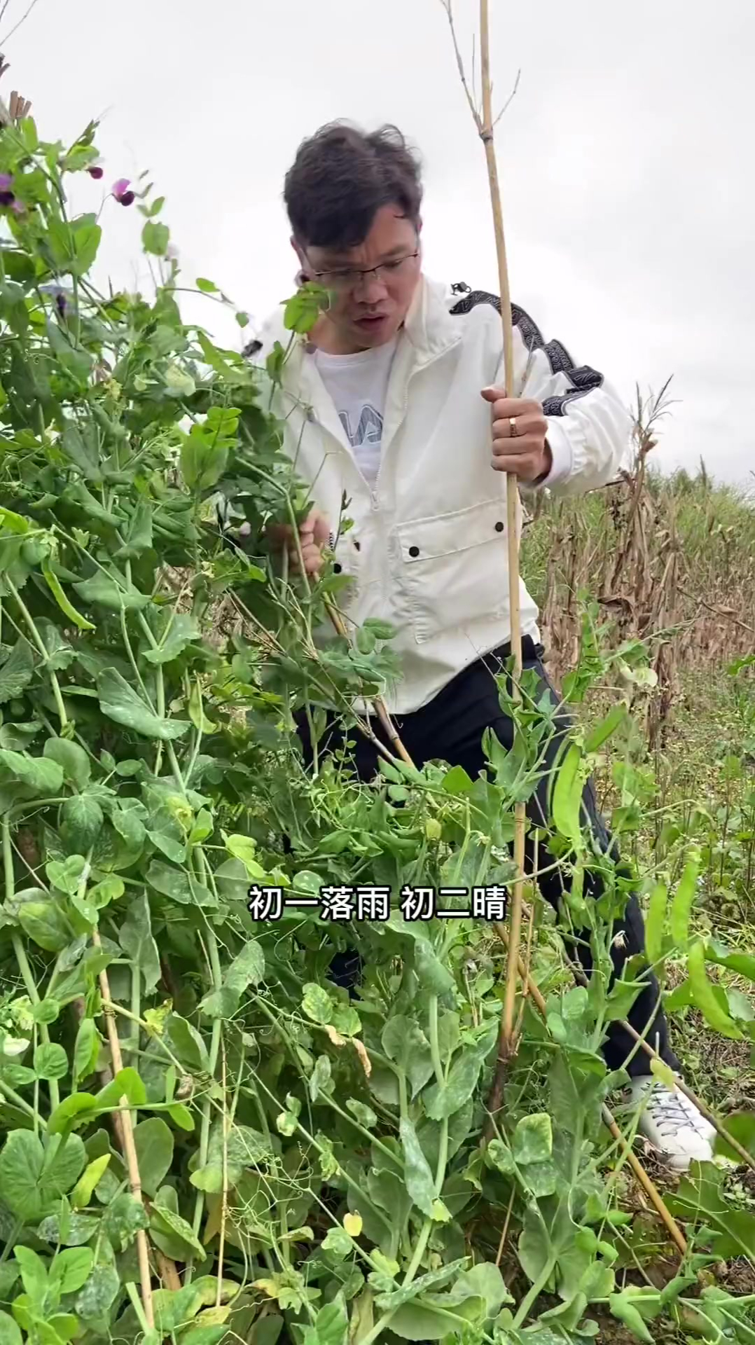 何谓十样菜:“韭(九)菜一汤”