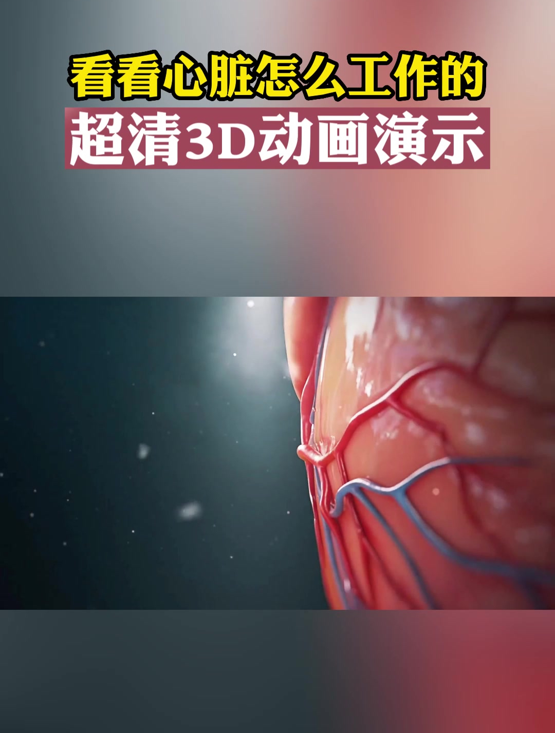 心脏是怎么工作的?3D高清!